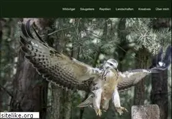 Sites similar to rave-naturfotos.de