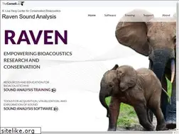 Sites similar to ravensoundsoftware.com