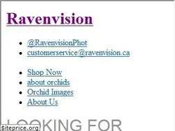 Sites similar to ravenvision.ca