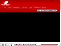 Sites similar to ravineranchsporthorses.com