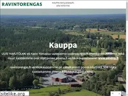 Sites similar to ravintorengas.fi