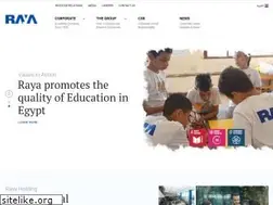 Sites similar to rayacorp.com
