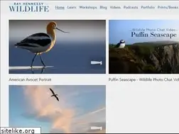 Sites similar to rayhennessy.com