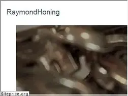 Sites similar to raymondhoning.com