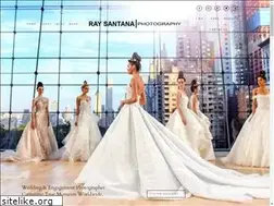 Sites similar to raysantanablog.com