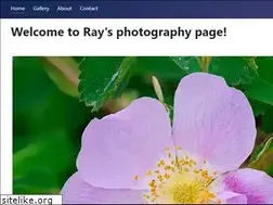 Sites similar to raysemenoffphotography.com