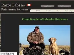 Sites similar to razorlabs.ca