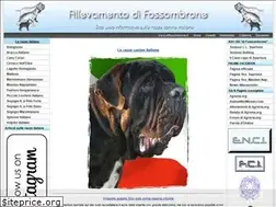 Sites similar to razzeitaliane.it