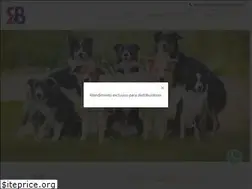 Sites similar to rbpet.com.br