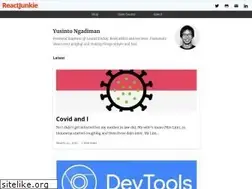 Sites similar to reactjunkie.com