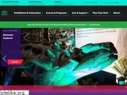 Sites similar to readingpublicmuseum.org