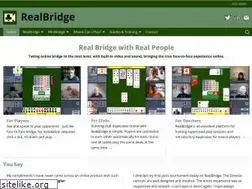 Sites similar to realbridge.online