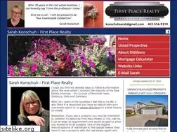 Sites similar to realestatedidsbury.com