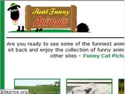 Sites similar to realfunnyanimals.com
