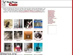 Sites similar to realfunnycats.com