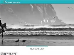 Sites similar to realisation.be