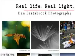 Sites similar to reallifereallight.com