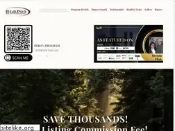 Sites similar to realproteam.com