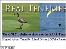 Sites similar to realtenerifeislanddrives.com