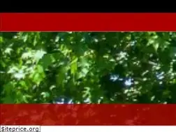 Sites similar to realtyconnection.biz