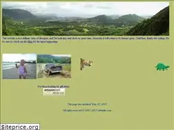 Sites similar to rebturtle.com