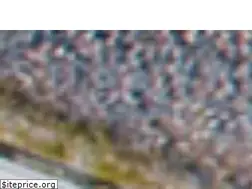 Sites similar to rechargeinfra.com