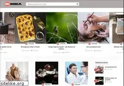 Sites similar to recomena.pl