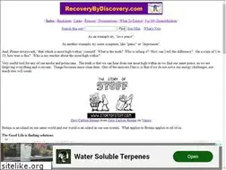 Sites similar to recoverybydiscovery.com