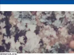 Sites similar to recyclingzentrum.de
