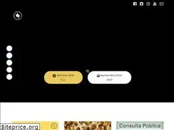 Sites similar to redapicolachile.cl