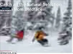 Sites similar to redbull.com.au