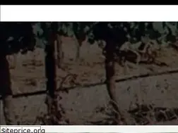 Sites similar to reddyvineyards.com