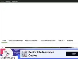 Sites similar to redearedslider.net