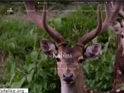 Sites similar to redearthkabini.in