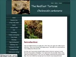 Sites similar to redfoottortoise.com