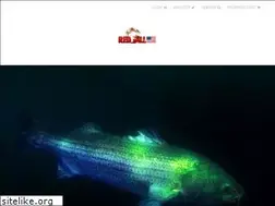Sites similar to redgillusa.com