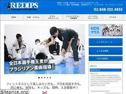 Sites similar to redips-bjj.com