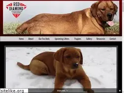 Sites similar to redpointinglabradors.com
