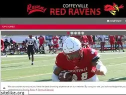 Sites similar to redravenathletics.com