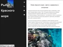 Sites similar to redseafoto.ru