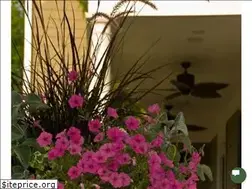 Sites similar to redtreelandscape.com