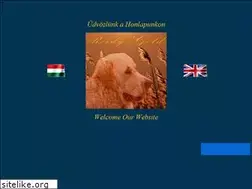 Sites similar to reedygold.hu