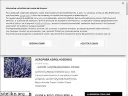 Sites similar to reefaquarium.altervista.org