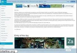 Sites similar to reeflex.net