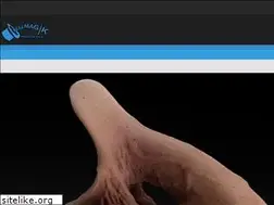Sites similar to reelmagik.com