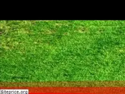 Sites similar to reelrollers.com
