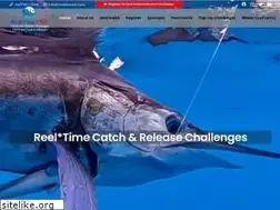 Sites similar to reeltimeusa.com