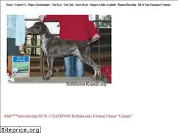 Sites similar to refleksiongsps.com
