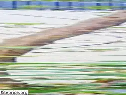 Sites similar to reform-taisei.com