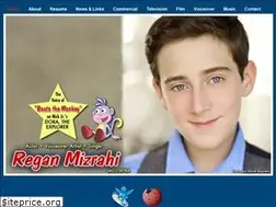 Sites similar to reganmizrahi.com